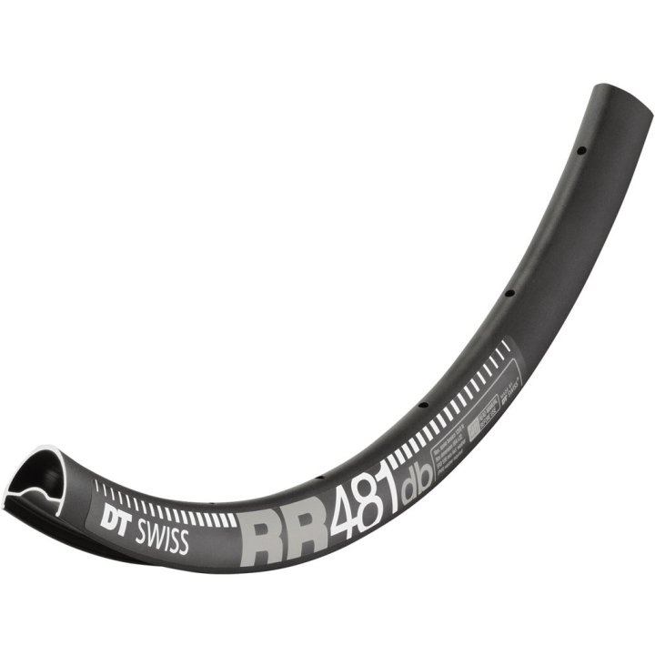 DT SWISS RR 481 DB