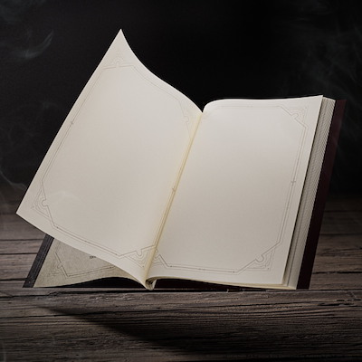 HARRY POTTER SELF-COLORING BOOK