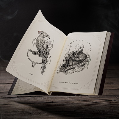 HARRY POTTER SELF-COLORING BOOK