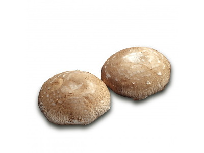 Svampe Portobello 1,5kg. PL