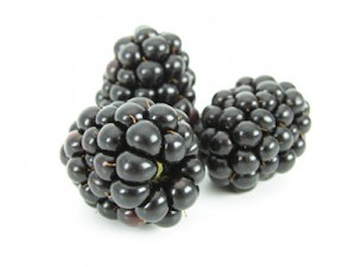 Bær Brombær m/låg 125g 