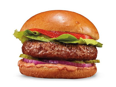 Beyond Burger 40x113g**