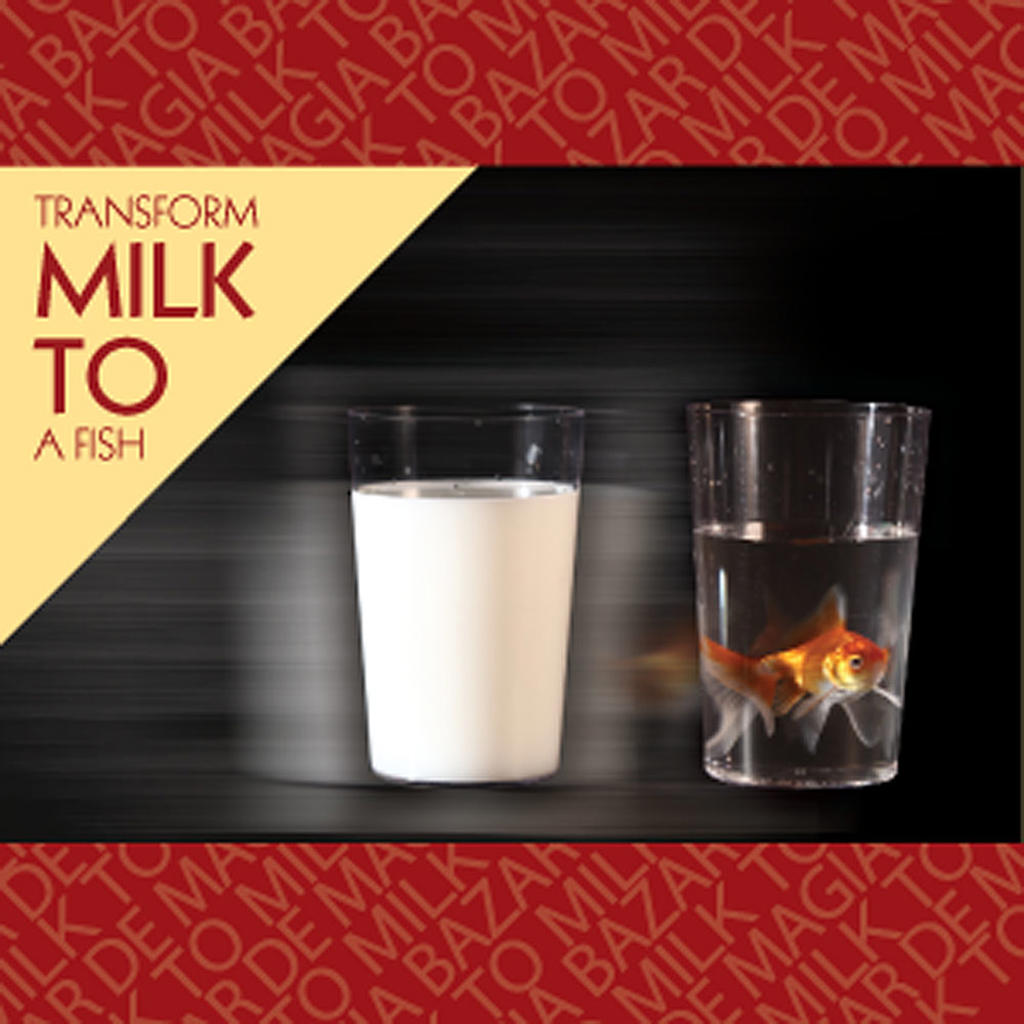 MILK TO FISH