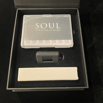 SOUL - THE SCALE OF MIND - Wenzi 