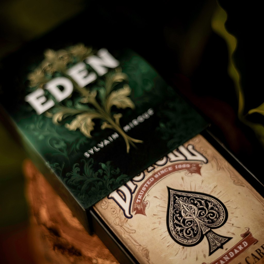 EDEN - Sylvain Mirouf & Magic Dream