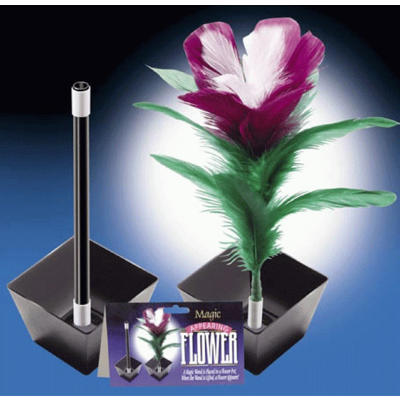 THE MAGIC VASE