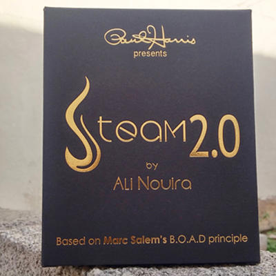 STEAM 2.0 - Ali Nouira