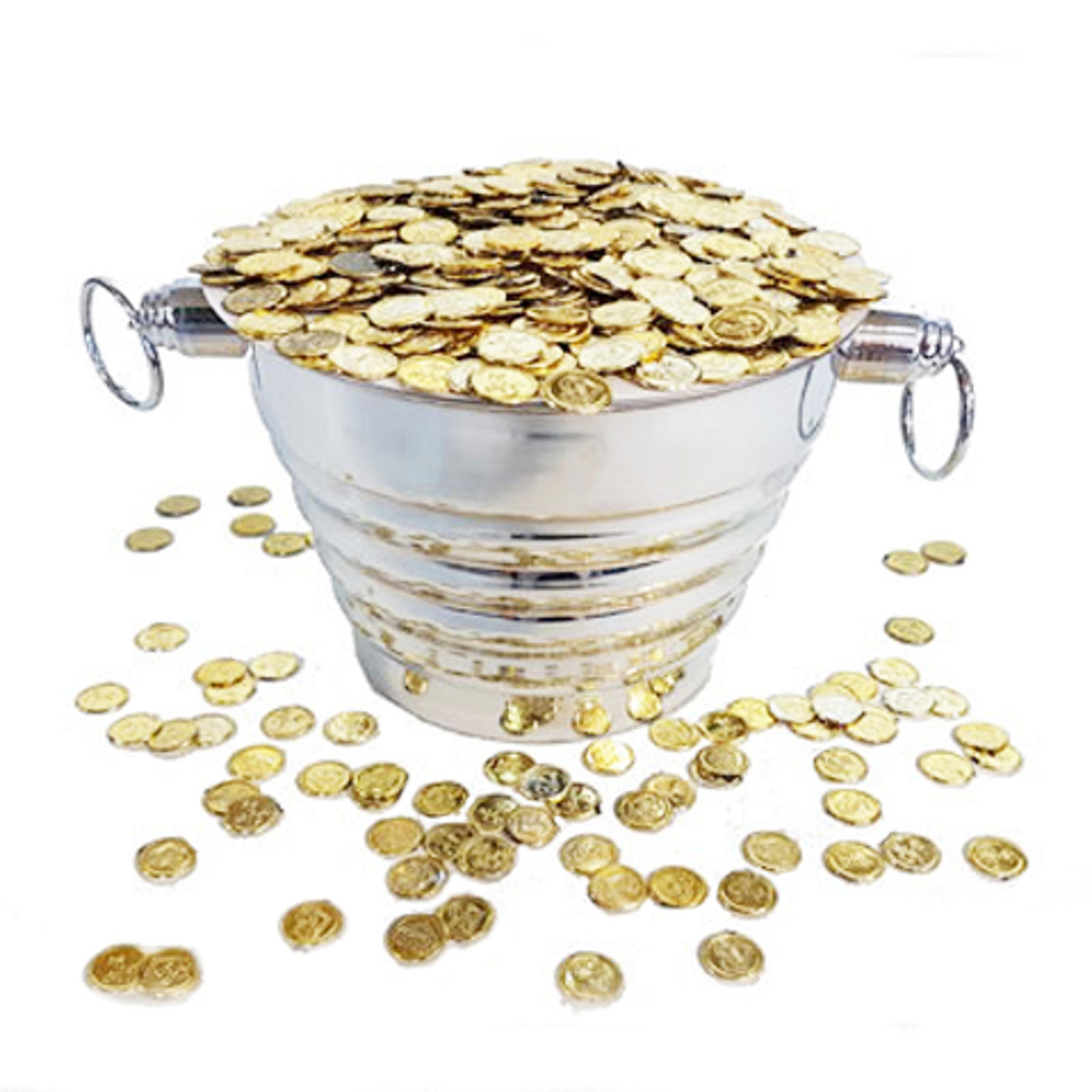 COIN BUCKET PLUS Pegani