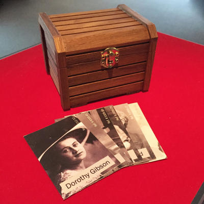 DESTINY CHEST - Magic Wagon