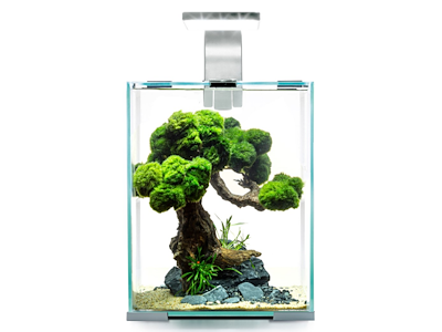Aquael Shrimp Set Day&Night 10L White – Nano Akvarium med LED, Filter & Varmelegeme
