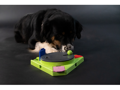 Eat Slow Live Longer Puzzle Triangle