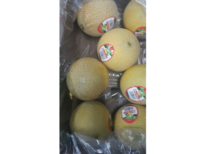 Melon Galia 4 stk. ks.