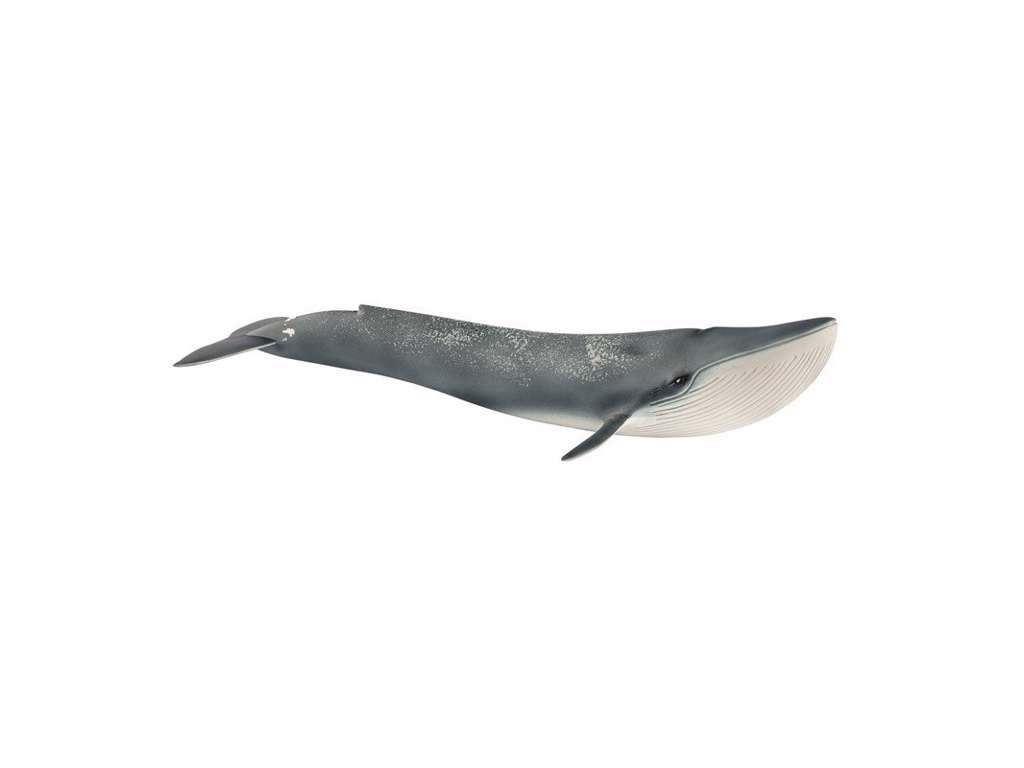 Blåhval fra Schleich - 14806