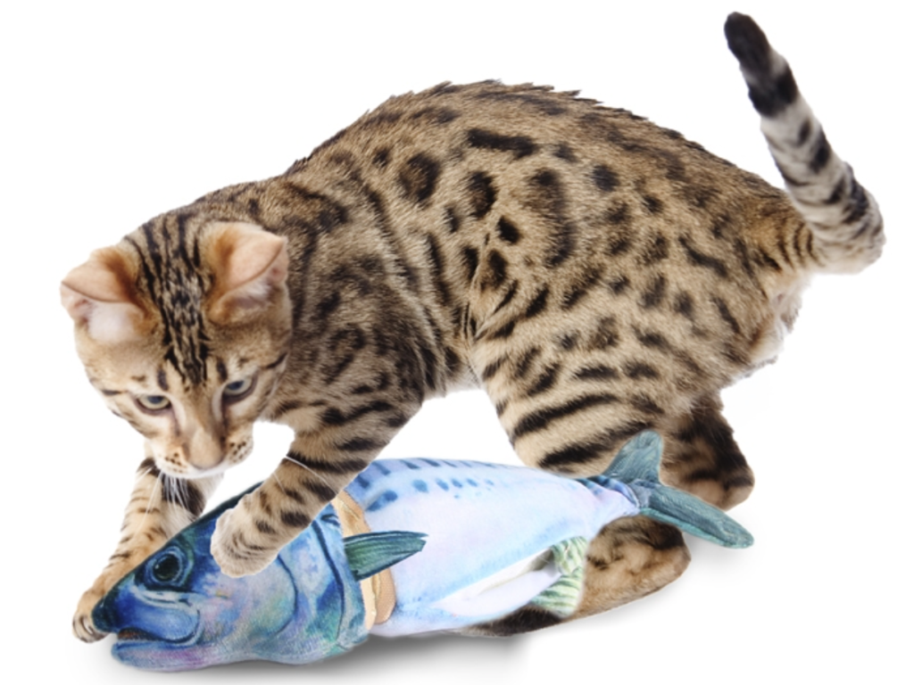 RENSET MAKREL NATURAL INSTINCT