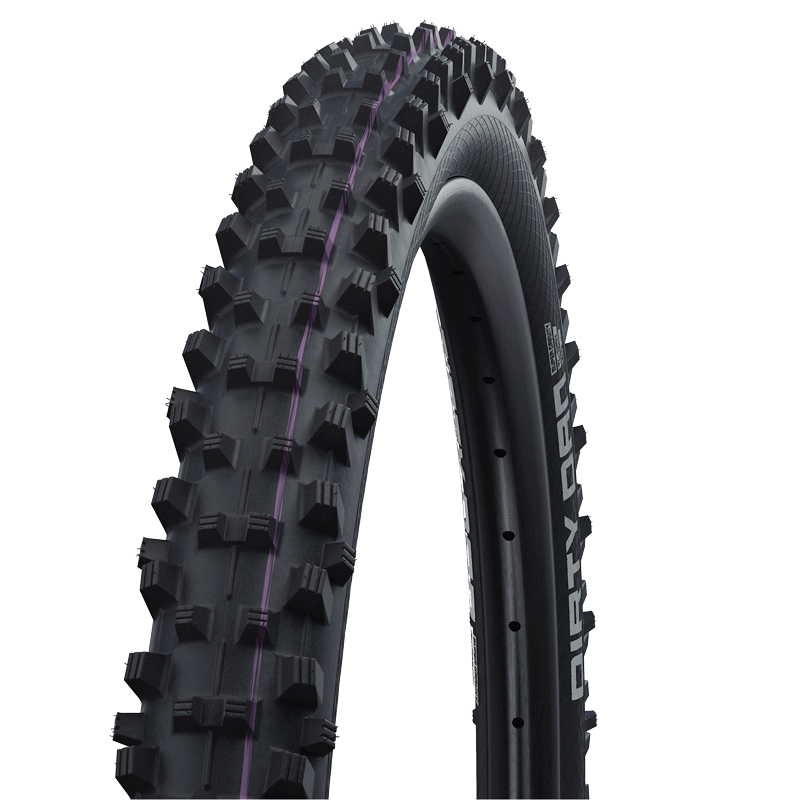 SCHWALBE DIRTY DAN Folding tire 29″