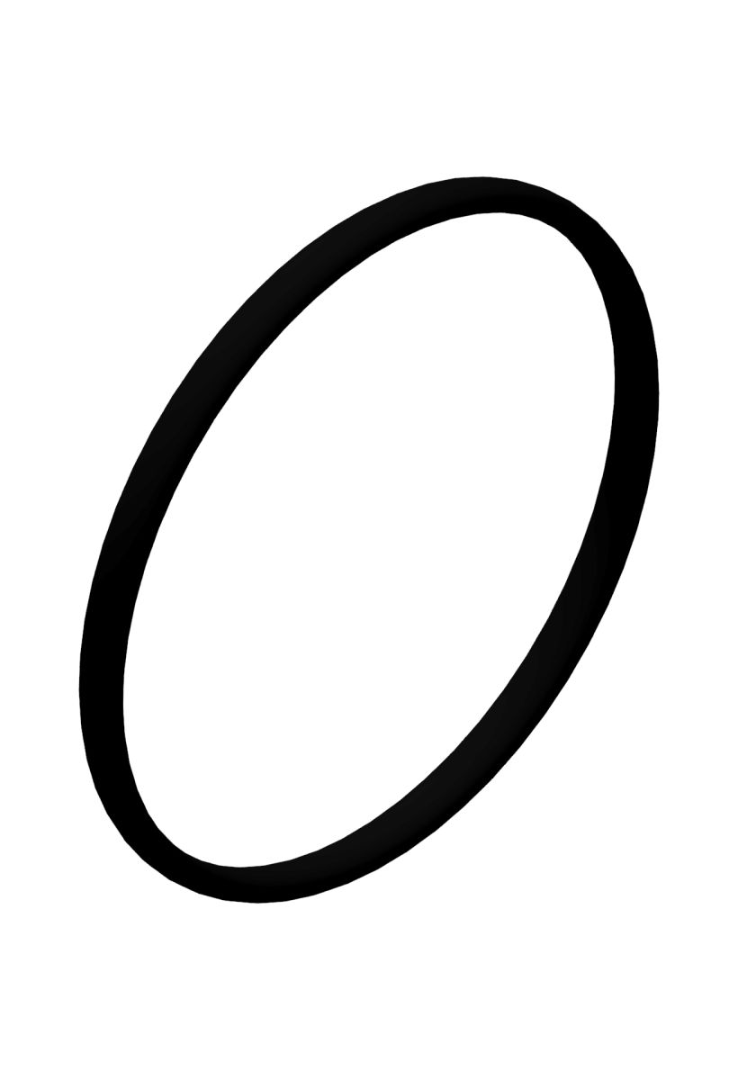 DT SWISS Spare part O-Ring O17X1 mm NBR