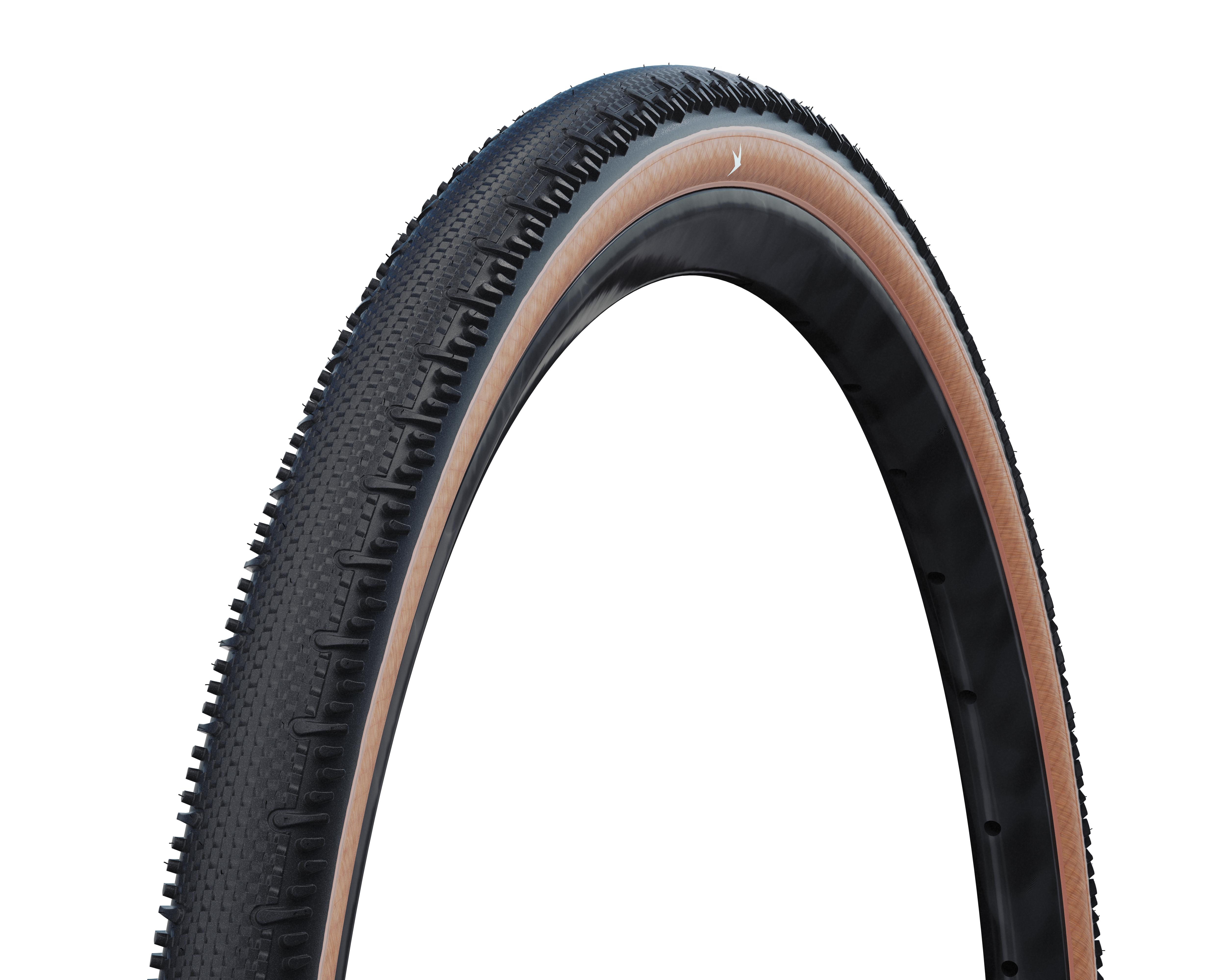 SCHWALBE G-ONE RS PRO