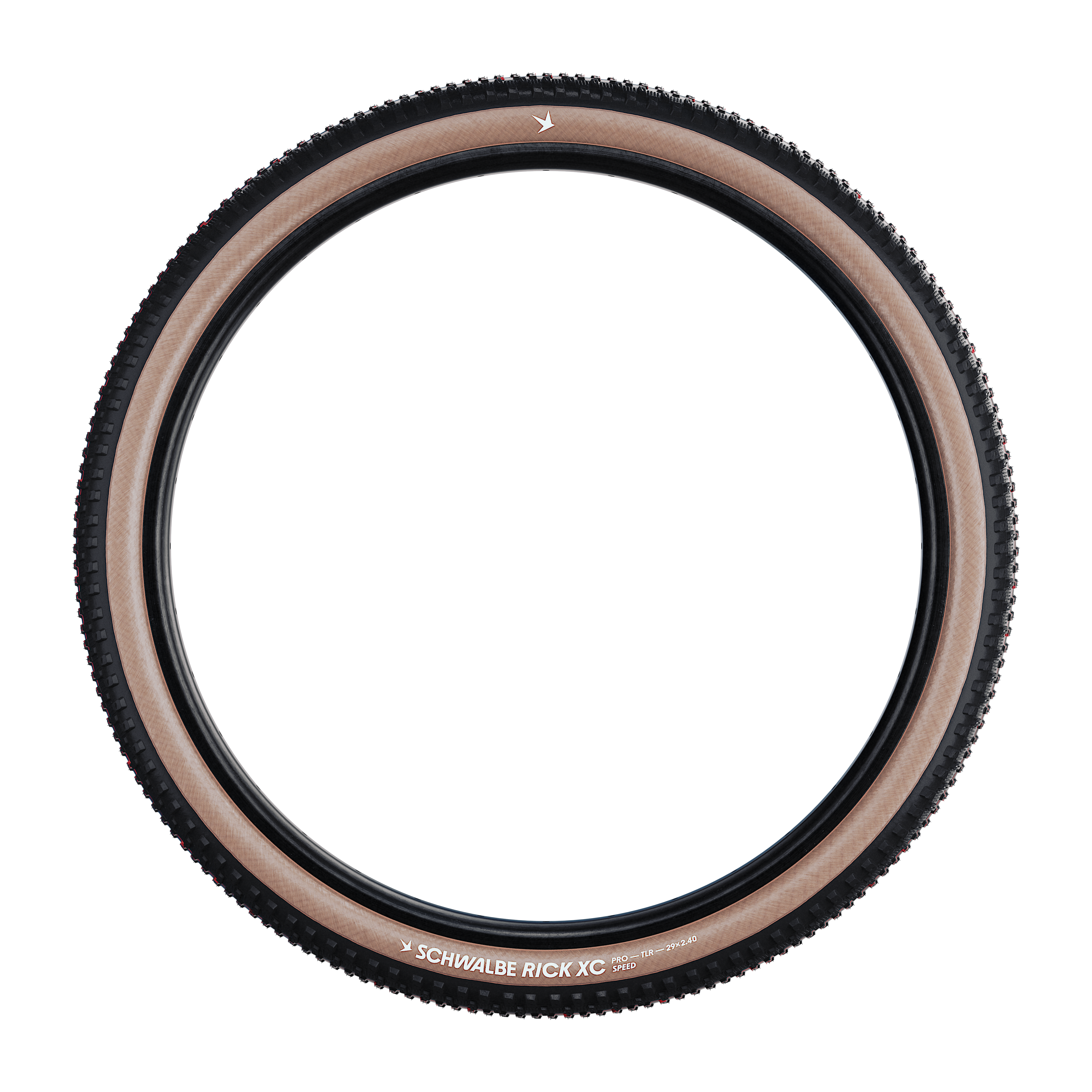 SCHWALBE RICK - Image 6