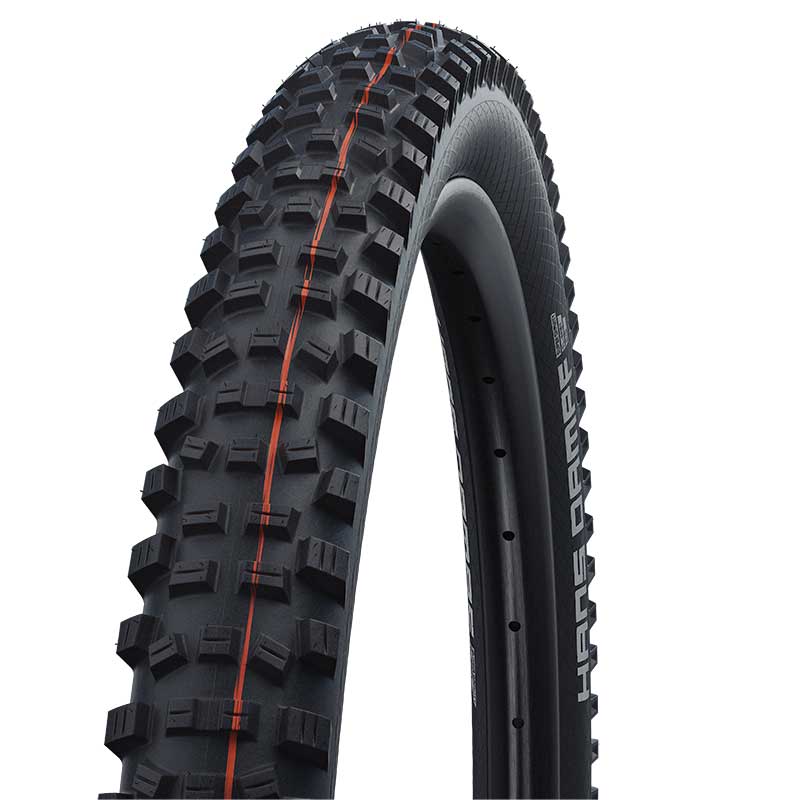 SCHWALBE HANS DAMPF