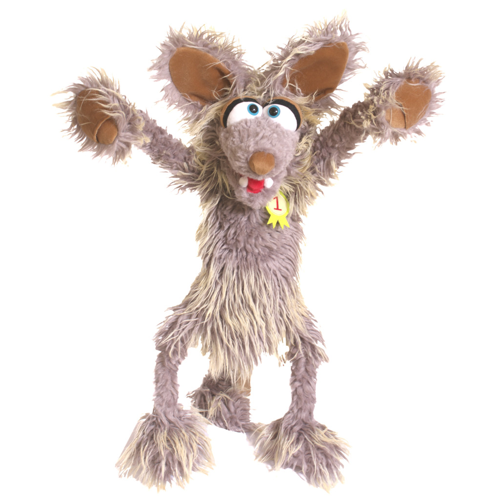 JÖRG SCHLAWENSKI THE COYOTE