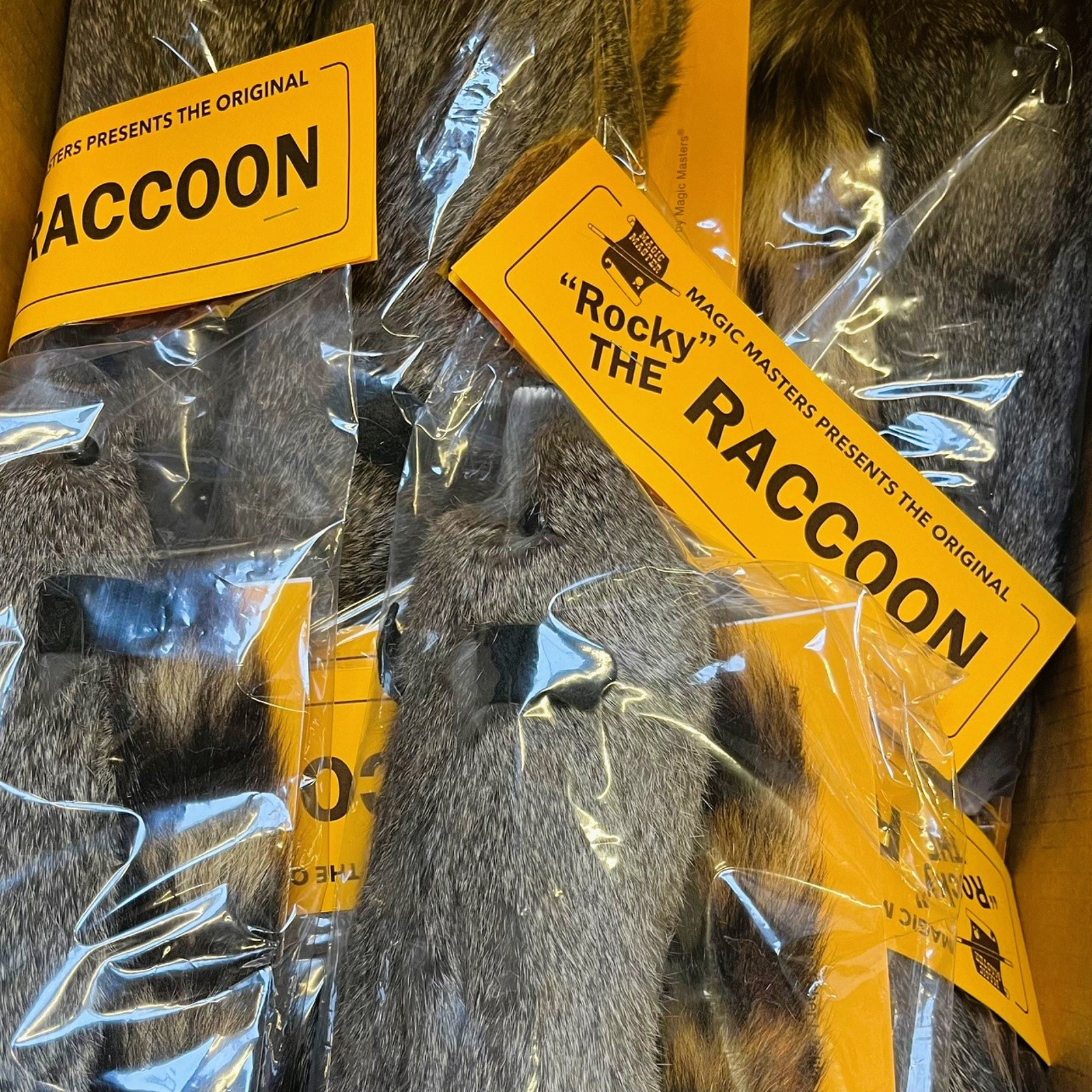 Buy ROCKY RACCOON - The Original at Pegani