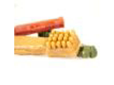 Garden Bites Toby Toothbrush 10stk