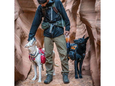 KURGO baxter pack sort/orange