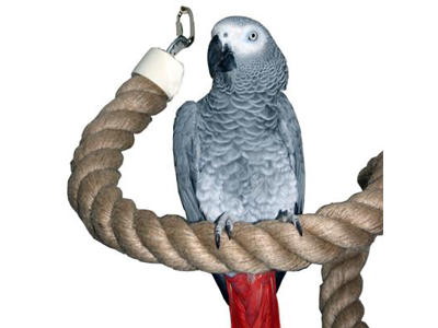  Bird Toy Reb Ø 4 cm. Længde 2 m.
