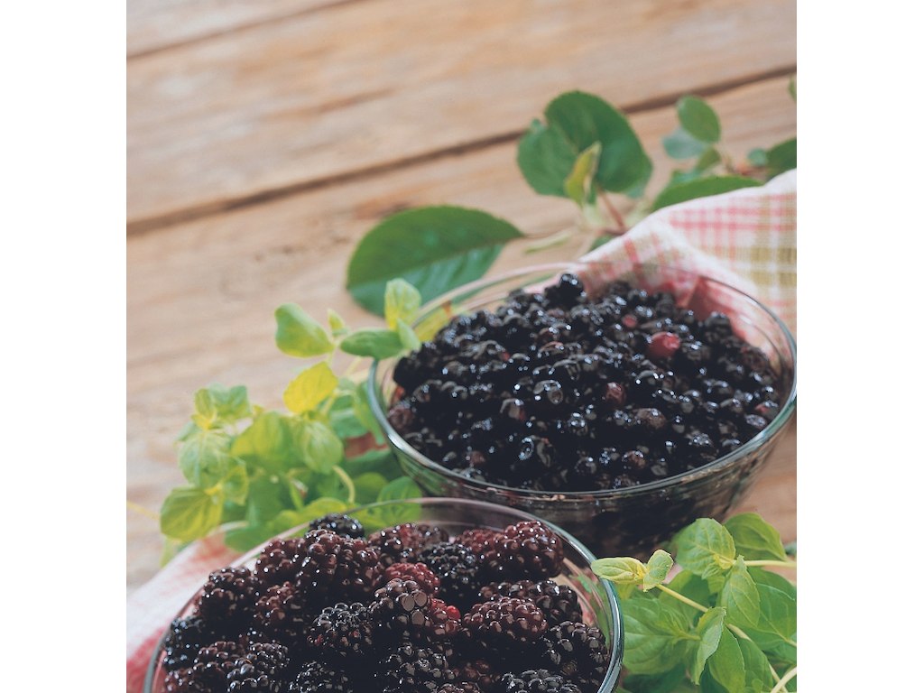 Blåbær frosne 1kg.** (10)
