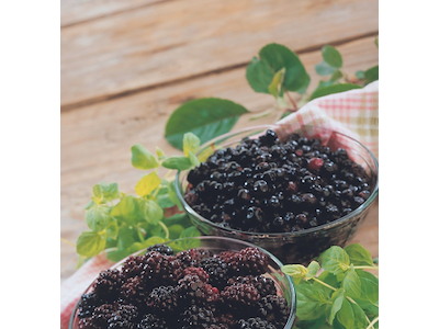 Blåbær frosne 1kg.** (10)