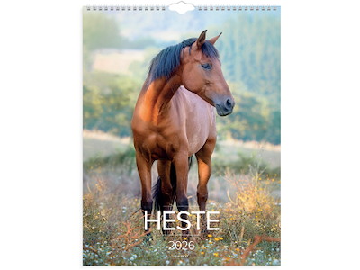 Vægkalender Heste 2026