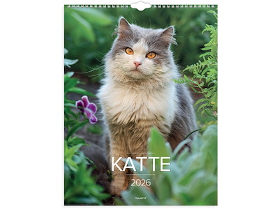 Vægkalender Katte 2026