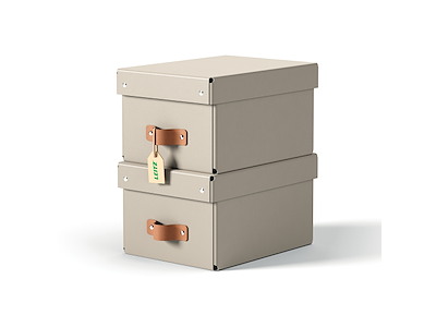 Opbevaringskasse Leitz Puro small beige 2 stk