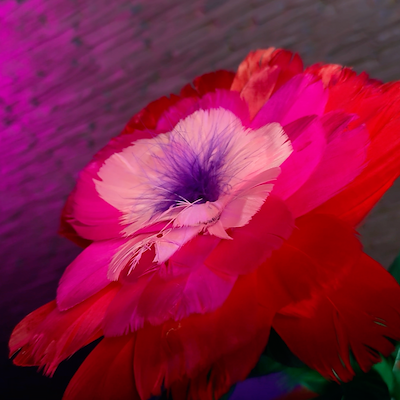 CANE TO FLOWER VASE