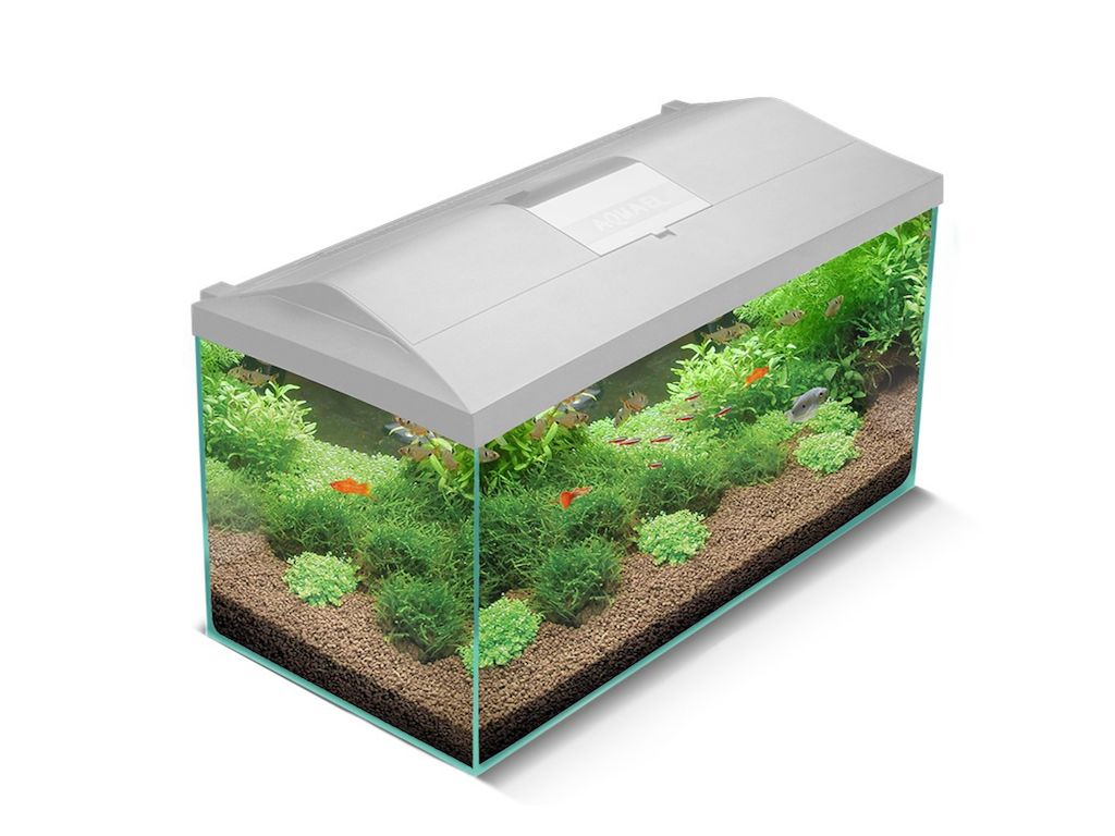 Aquael Leddy 75 Hvidt Akvariesæt – D&N Biofs White 2.0