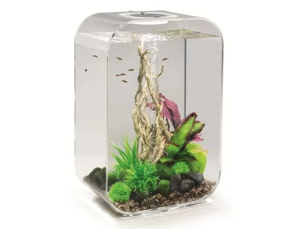 biOrb Life 45 MCR – Design Akvarium med LED Lys (45 Liter)