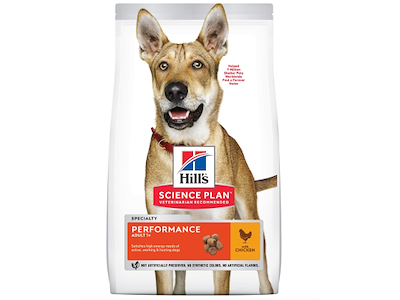 Hill’s Science Plan Canine Adult Performance med Kylling – 14 kg