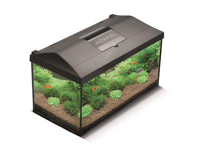 Aquael Leddy 60 Sort 2.0 – Akvariesæt med LED Day & Night Belysning (54L)