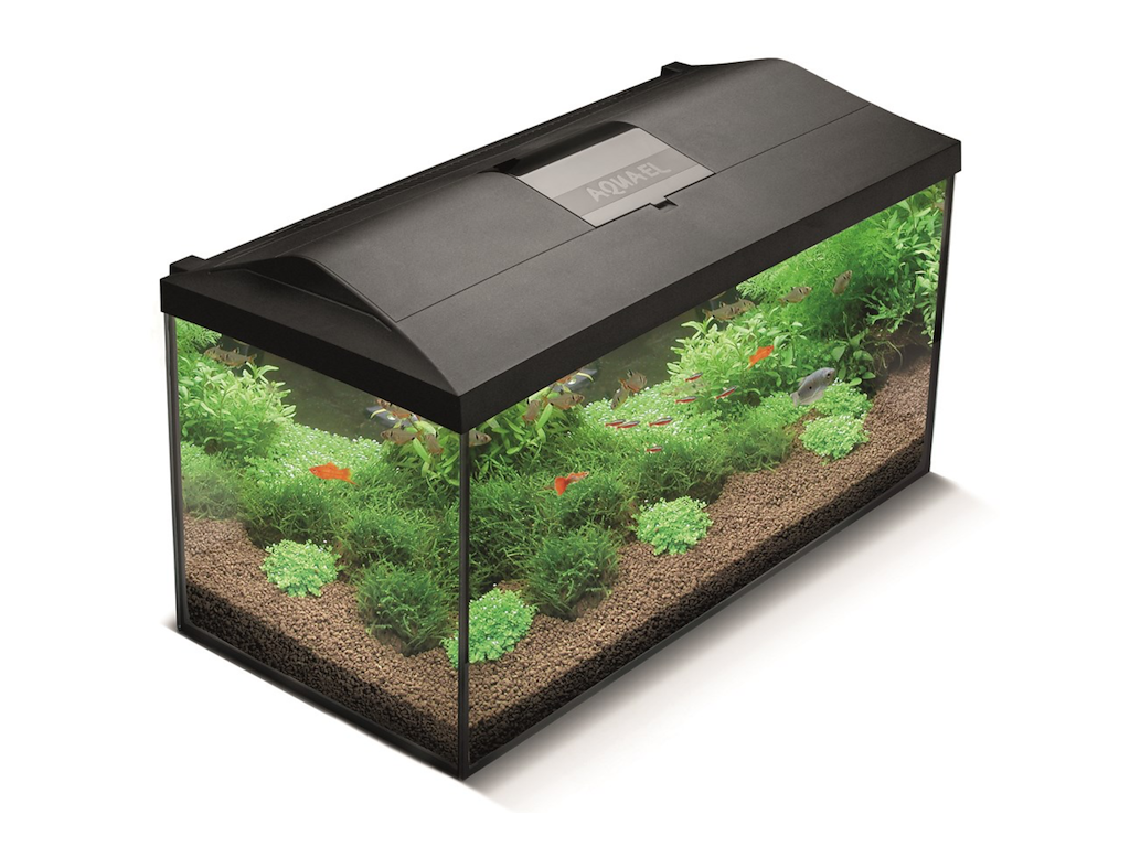 Aquael Leddy 75 Sort Akvariesæt – D&N Biofs Black 2.0